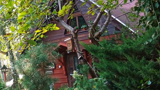 Apartament SECESJA Ostrów Wielkopolski (1)