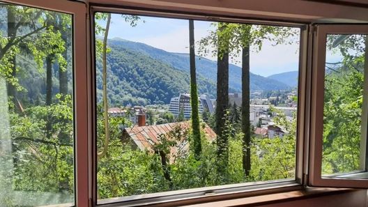 Apartament Tudor View Sinaia (1)