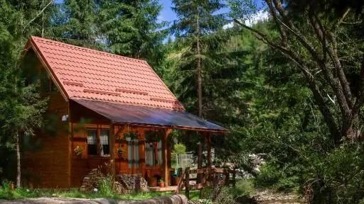 Casa de vacanță Pura Vida - Forest Home Poiana Horea (1)