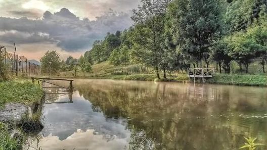 Pensiunea Lacul Arșiței Borșa (1)