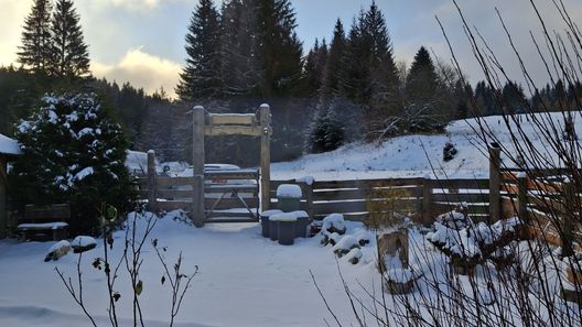 Pensjonat Leśniczówka Zieleniec (1)