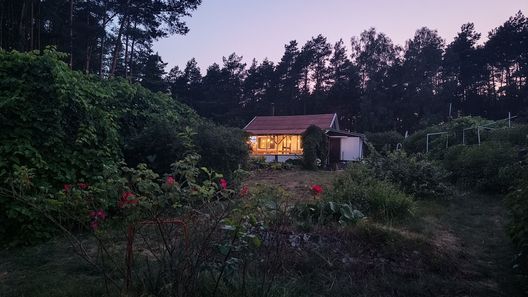SUPy, Krokodyl & Las Trzebiechowo (1)