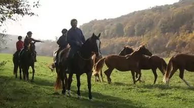 Lovastanya Vendégház Gyűrűfű-Ökofalu (1)