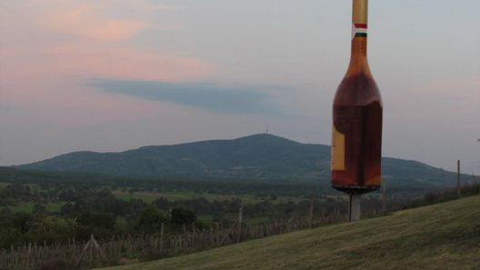 Torkolat Panzió Tokaj (1)