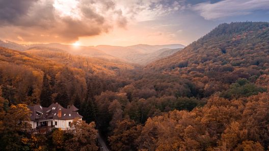 Kőkapu Vadászkastély és Hotel & Apartments Nagyhuta (1)