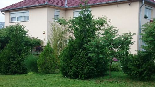 Kényelem Apartman Pécs (1)