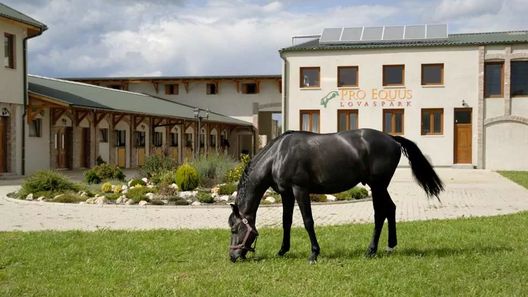 Pro Equus Lovaspark Bagod (1)