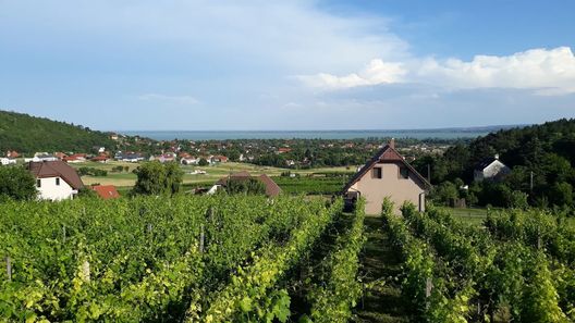 Lekics Pince és Vendégház Balatongyörök (1)