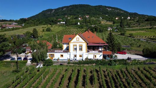 Bacchus Apartman - Borbarlang Vinotéka Badacsony (1)