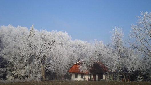 Őrségi Fecskefészek Vendégház Őriszentpéter (1)