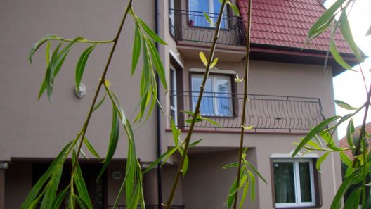 Apartamenty Dolna Kraków (1)