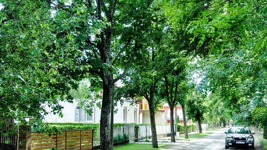 Green Garden Apartman Hajdúszoboszló (1)