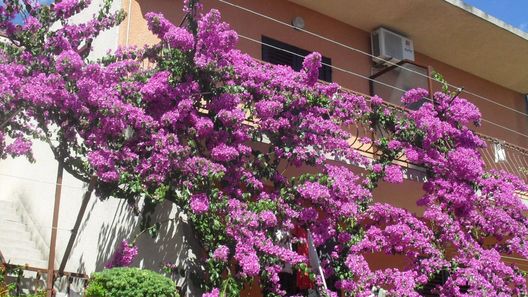 Apartments Katica Makarska (1)