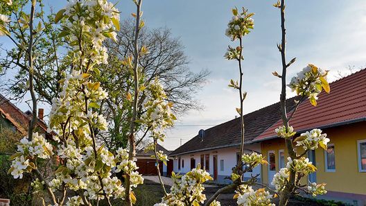 Rigófütty Vendégház Tiszaalpár (1)