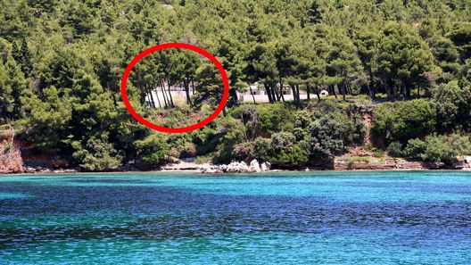 Apartmanok A Tenger Mellett Zuljana, Peljesac - 10233 Žuljana (1)