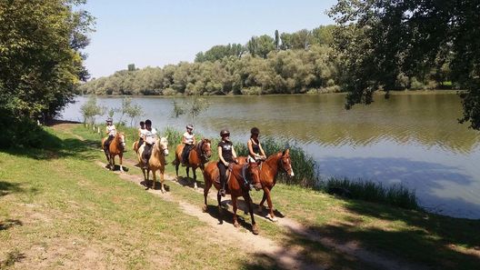 Napsugár Nyaraló Tiszaalpár (1)