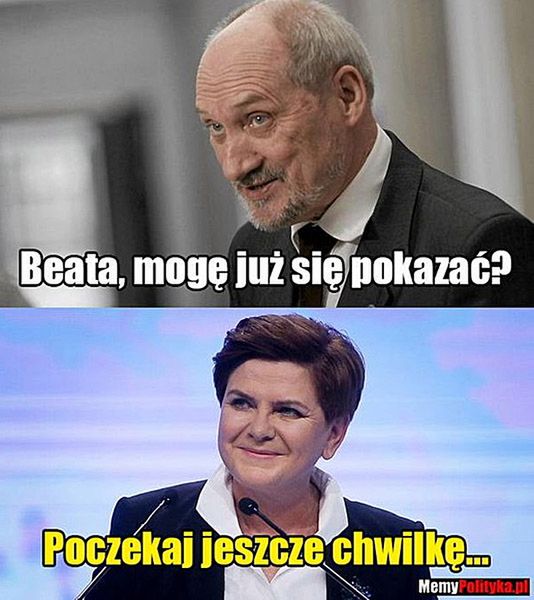 Studniówka" rządu PiS. Najlepsze memy - WP Wiadomości