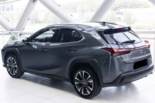 Lexus UX 300h Business 2.0 Hybrid Dynamic Force