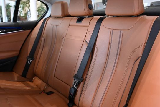 BMW Seria 5 518d mHEV Luxury Line aut
