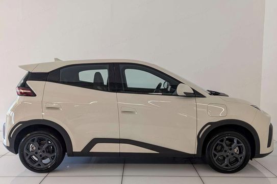 BYD Dolphin Surf Boost