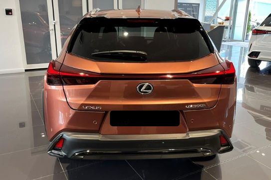 Lexus UX 300h F Sport Design 2.0 Hybrid Dynamic Force