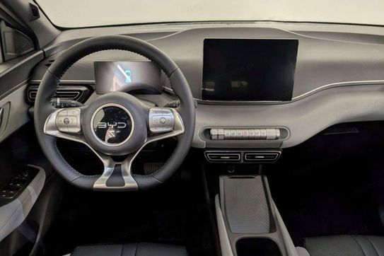 BYD Dolphin Surf Boost