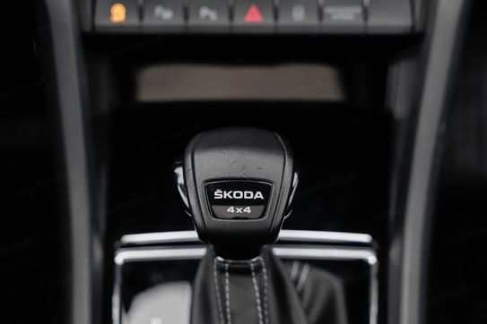 Skoda Kodiaq 2.0 TDI 4x4 Sportline DSG