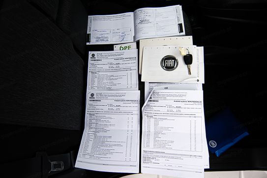 Fiat Doblo Cargo/Van Maxi