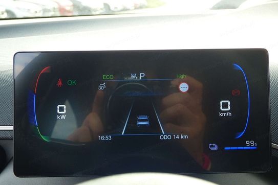 BYD Dolphin Surf Boost