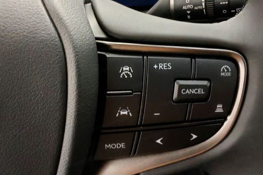 Lexus UX 300h Business 2.0 Hybrid Dynamic Force