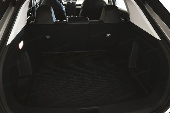 Dongfeng Mage 1.5T MachPower DCT