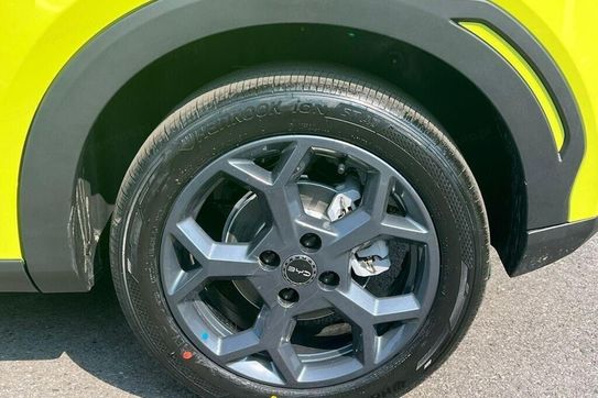 BYD Dolphin Surf Boost