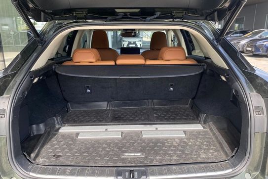 Lexus RX 300 Business Edition +