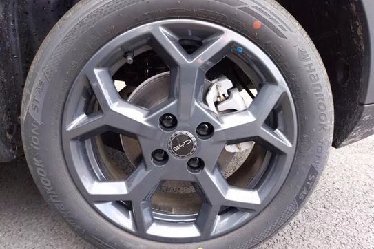 BYD Dolphin Surf Boost