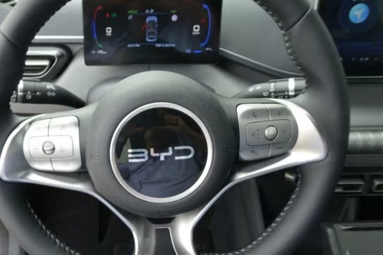 BYD Dolphin Surf Comfort