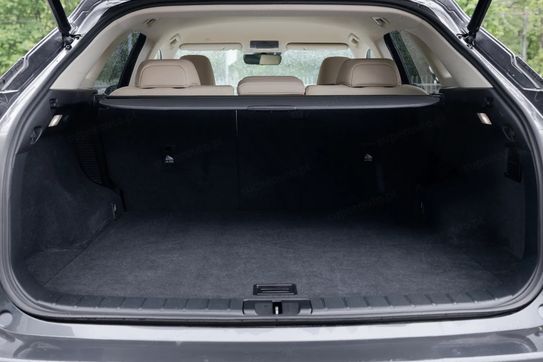 Lexus RX 450h Business Edition