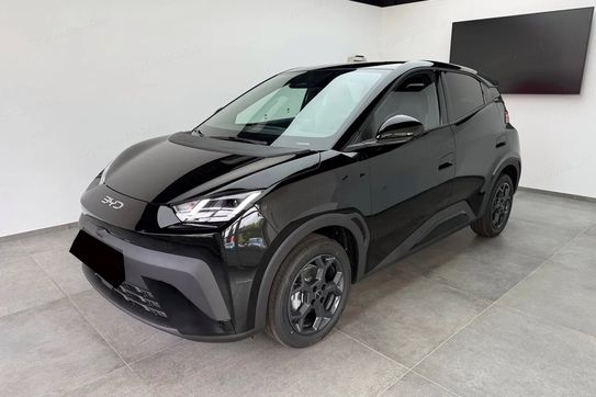 BYD Dolphin Surf Boost