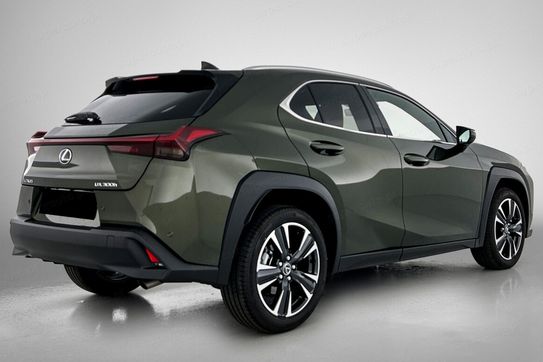 Lexus UX 300h Business 2.0 Hybrid Dynamic Force