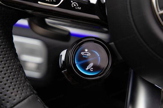 Mercedes GLE AMG 53 4-Matic+