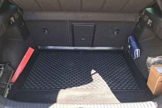 Cupra Formentor TSI DSG