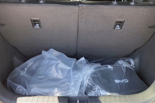 BYD Dolphin Surf Boost