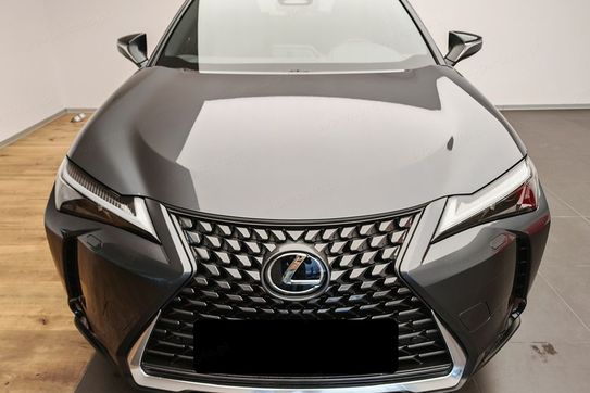 Lexus UX 300h Business 2.0 Hybrid Dynamic Force