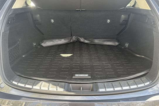 Lexus NX 350h Business AWD