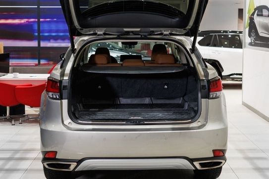 Lexus RX 300 F-Impression