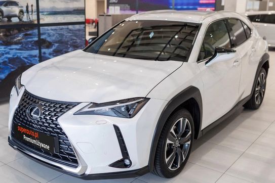 Lexus UX 300h Business