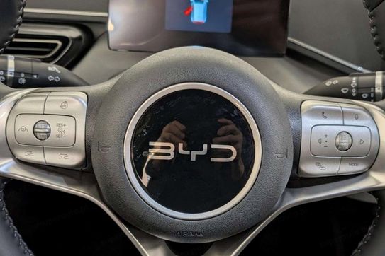 BYD Dolphin Surf Boost