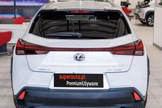 Lexus UX 300h Business