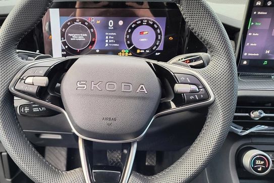 Skoda Kodiaq Edition 130 2.0 TDI DSG 4x4