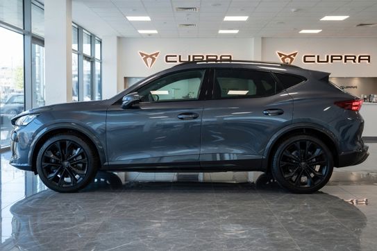 Cupra Formentor 2.0 TSI 4Drive DSG