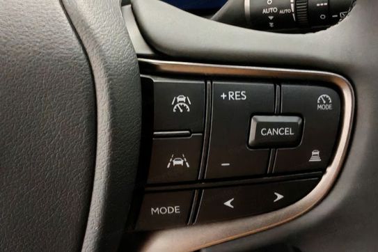 Lexus UX 300h Business 2.0 Hybrid Dynamic Force